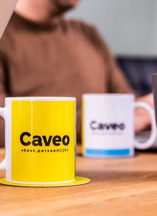 De nieuwe stijl, focus en diensten van Caveo